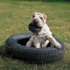 Kong Extreme Tires - Kong s Most Durable Natural Rubber Chew   Large  Black 