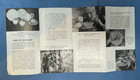 Belleek Brochure 1950s Htf The Story Of Belleek Parian China
