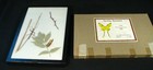 Carolina Entomount Mounted Insects Entomology Taxidermy Protective Coloration