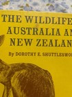 Book The Wildlife Of Australia New Zealand Dorothy E Shuttlesworth Hc Vintage