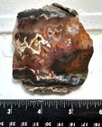 Unknown Moss Agate Slab  56 Grams  Lapidary cabbing