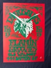 4 Dinosaurs Posters  By Anton Kelly In Mint Condition