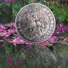 11 X Hobo Nickel Coins  Beauty Girls Lot Coin Collection Engraving Artwork Gift