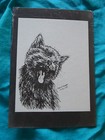 Yawning Cat 3pc Set-print 6 Blank Notecards And Magnet-new