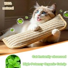 2 Pack Catnip Toys Sisal Catnip Pillow Toy Kickers  Interactive Catnip Pillow   