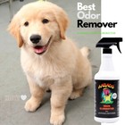 Aabaco Pet Odor Eliminator Stain Remover   Industrial Enzyme Cleaner