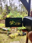 Sony Handycam Hdr-cx440 9 2mp Camcorder Video Camera Black W 60x Zoom