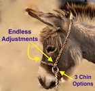 Halter All Medium Donkey   Mule Endless Adjustable Halter   Lead Colors Usa