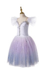 Romantic Tutu Ballet Dress Kids Ballerina Dress Performance Ballet Dance Dress