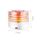 5-tray Food Dehydrator Machine Adjustable Portable Countertop Fruit Drying Usa