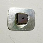 Saint Petersburg Leningrad Refrigerator Magnet Russia Russian Souvenir Ox