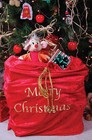 Brand New Christmas Santa Claus Sack Accessory