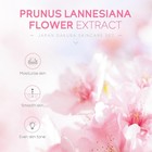 Laikou Skin Care Set Japan Sakura Women Beauty Gift Sets Skin Care Kit With Clea