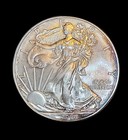 2010 Silver Walking Liberty Us Eagle 1 Troy Oz 999  Ag  Uncirculated Nice Toning
