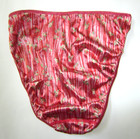 Rare Vintage St  Eve Satin Red Pink Floral Hi Leg Brief Hipster Panty Xl 8 Silky