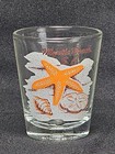 20 Shot Glasses States Cities Horses Beachs Hearts Whiskey Bars Dolly You Choose