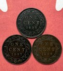 3 Different Canada Large Cents Lot A4  All 1890 s  Up To Extra Fine  Varieties 