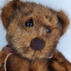 Brown Bear Plush First   Main Minky Schminky 8  Sitting Stuffed Toy