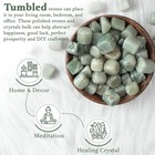 Bezavo Green Jade Tumbled Crystals 20-25 Mm 1lb