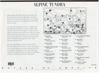 Scott  4198 Alpine Tundra  nature Series  Sheet Of 10 Stamps - Mnh