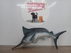 Sail Fish Marlin Mount 19   Detailed