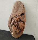 Driftwood Natural Sculpture Piece Woodworking Decorative Diy