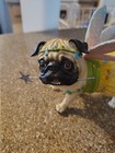 Pugnacious Fairy Pug Frog By Westland