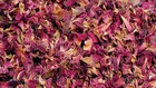 Sun Dried Rose Flower Petals Edible Natural Soap Food Free Ship 