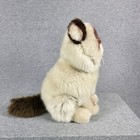 Gund Grumpy Cat Plush Stuffed Animal 10    Grey Eyes