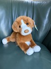 Standing Duck Tolling Retriever New Douglass Bass Pro Exclusive Red Collectible