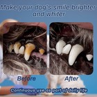 Dog Dental Powder Freshens Breath And Removes Plaque 100g Chicken Flavor