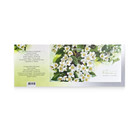 Ukraine Stamps Ukrposhta - Sheet Philadelphus On Self-adhesive Paper With Aroma