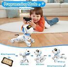 Voice Robot Dog Toys For Kids Smart Stunt Robots Pet For 3-10 Year Old Girls    