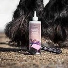 Equiderma Thrush   Whiteline Treatment For Horses 16 Oz 