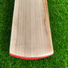 Puma Evo Speed 4000 English Willow Cricket Bat Mens Sh New