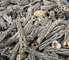 4  Lbs Cholla Wood Cutoffs   Whole Pieces Split Halves Bits   Aquarium  Crafts
