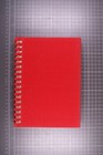 Celine Dion Concert Agenda Official Promotional Limited Edition Circa  1999