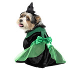 Vibrant Life Bad Witch Dog Halloween Costume Hat   Outfit Size Small  10-20 Lbs 