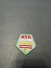          Apa Spring Division Champion Patch Patches American Poolplayers New