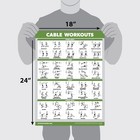 Palace Learning 4 Pack - Cable Machine Workout Posters Volume 1   2   Dumbbell E