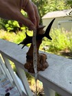 Vintage John Perry Hammerhead Shark Pellucida Manzanita Burl Wood Brass Plaque