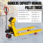 Pallet Jack Truck With Built-in Scale  6 600lbs 48   L X 27   W Forks Warehouse