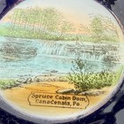 Canadensis Pennsylvania Pa Antique Spruce Cabin Dam Souvenir Cobalt Trinket