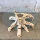 Vtg Saguaro Cactus Skeleton Glass Round Coffee Table Mid Century Modern Desert