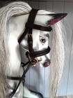 Small Stitched Bridle For Rocking Horse Brown Leather Nickel Fittings