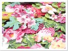 Anna Griffin 30 - 3d Mini Favorite Flowers Stickers     read Special Ship Deal  