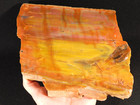 Nice Bark  Big Polished Petrified Rainbow Wood Fossil Arizona 2595gr