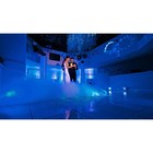 Chauvet Dj 1 Gallon Bottle Of Fog Smoke Juice Fluid For Fog Machines   Fju