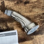    hansgrohe 95899800 Talis C Stainless Replacement Pull Down Sprayer 04216800