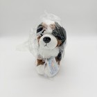 Nib Nwt Webkinz Next Bernese Mountain Dog 2 Unused Codes